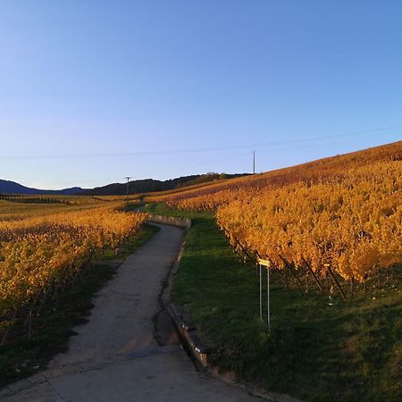 L'Altenberg 贝尔盖姆 外观 照片