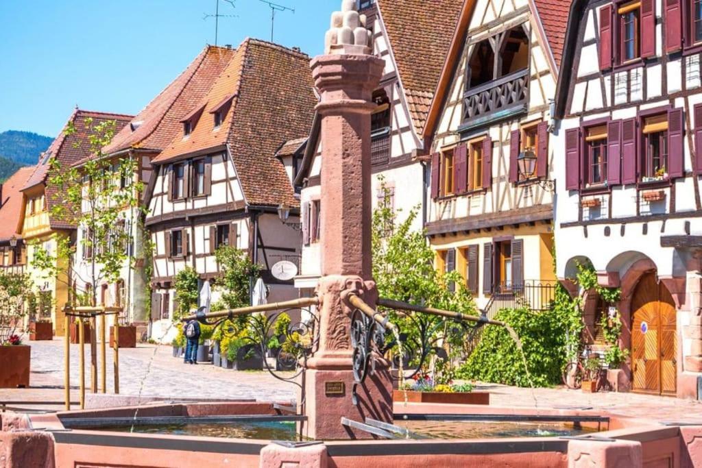 L'Altenberg 贝尔盖姆 外观 照片